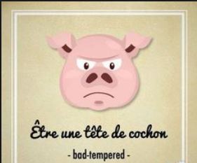 Expressions idiomatiques avec Avoir et ├ètre